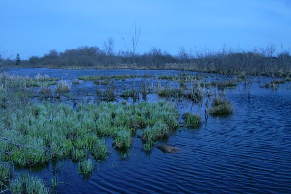 Whitefish Island ponds