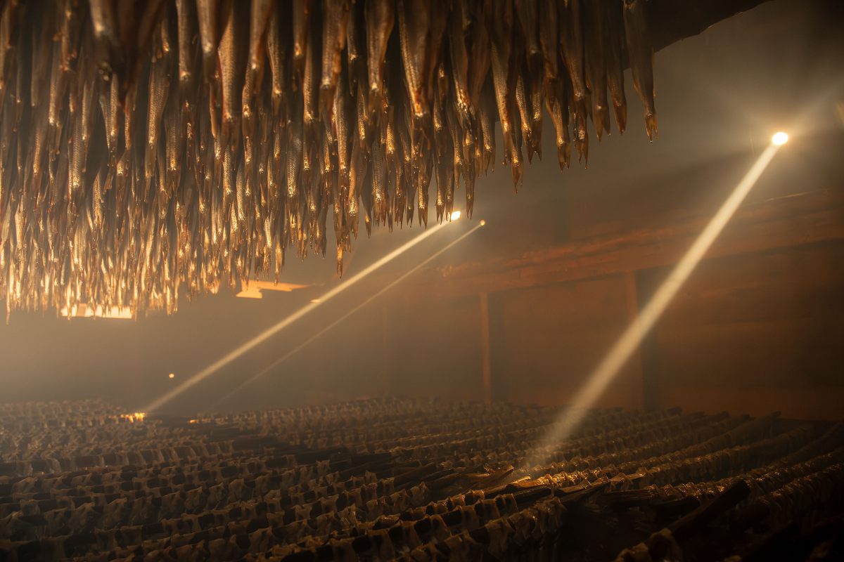 Shafts of sunlight pierce the dim interior of a smokehouse from gaps between the structure’s planks. Nisg̱a’a often process eulachon by smoking or air-drying them.