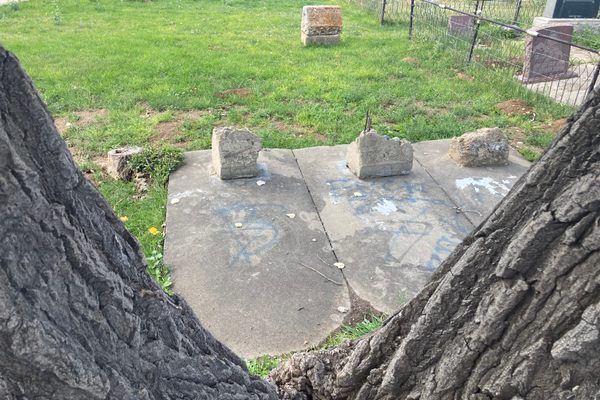 Three concrete slabs with small, destroyed remains of headstones sit behind a V-shaped tree opening.
